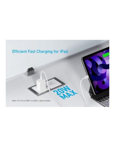 whatsapp_image_2026-04-11_at_10_29_24_pm